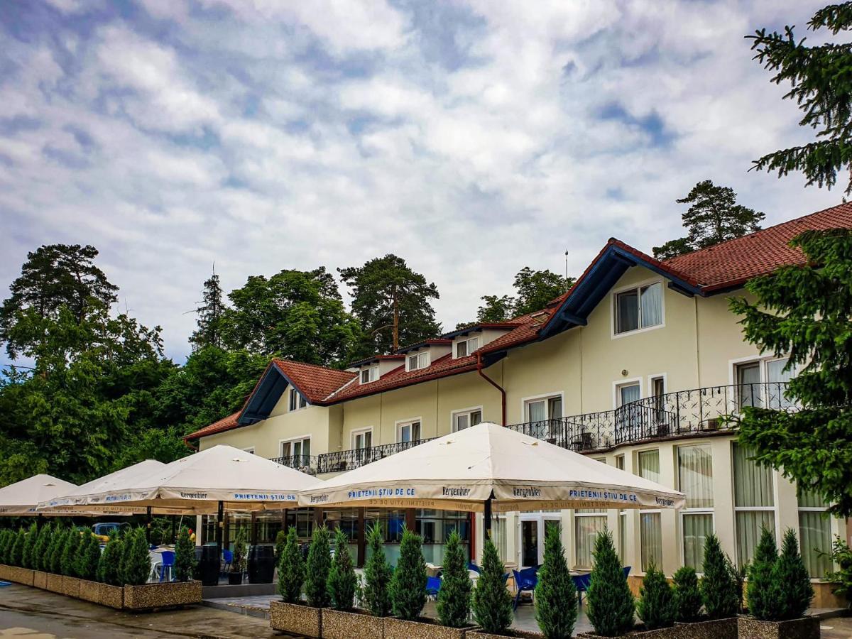 Hotel Dumbrava Sibiului Extérieur photo